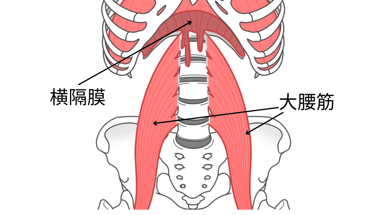 大腰筋