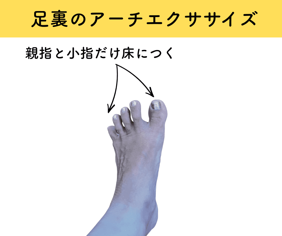 足裏アーチエクササイズ