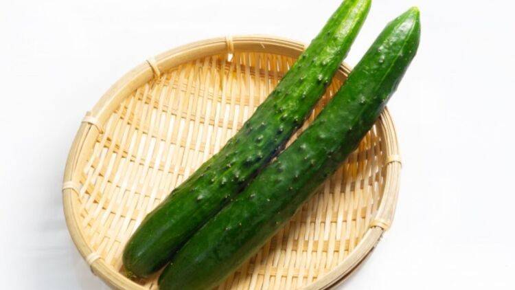 きゅうりは「栄養がない」は誤解!残暑に役立つ食べ方を管理栄養士が解説