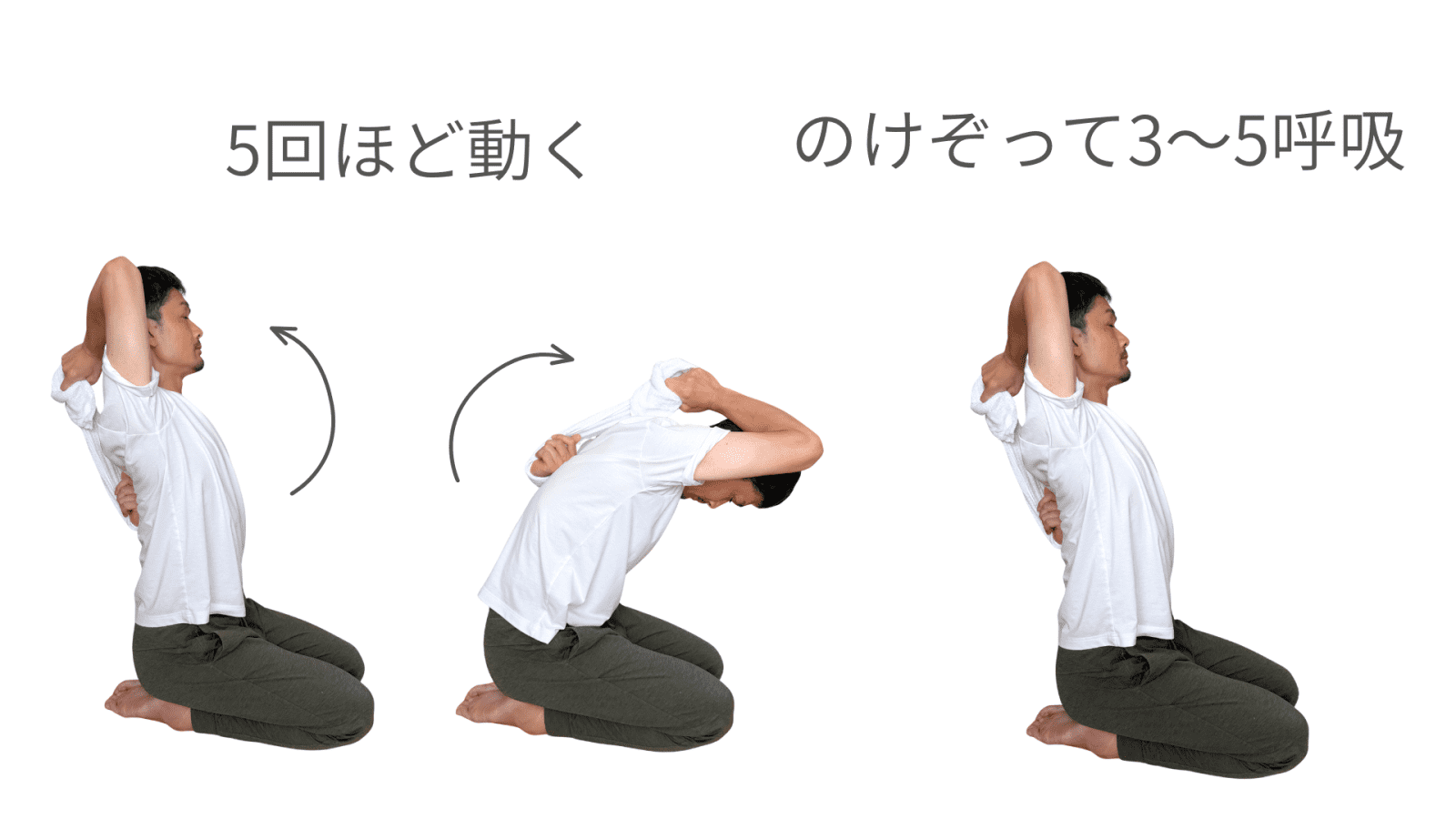 牛面2
