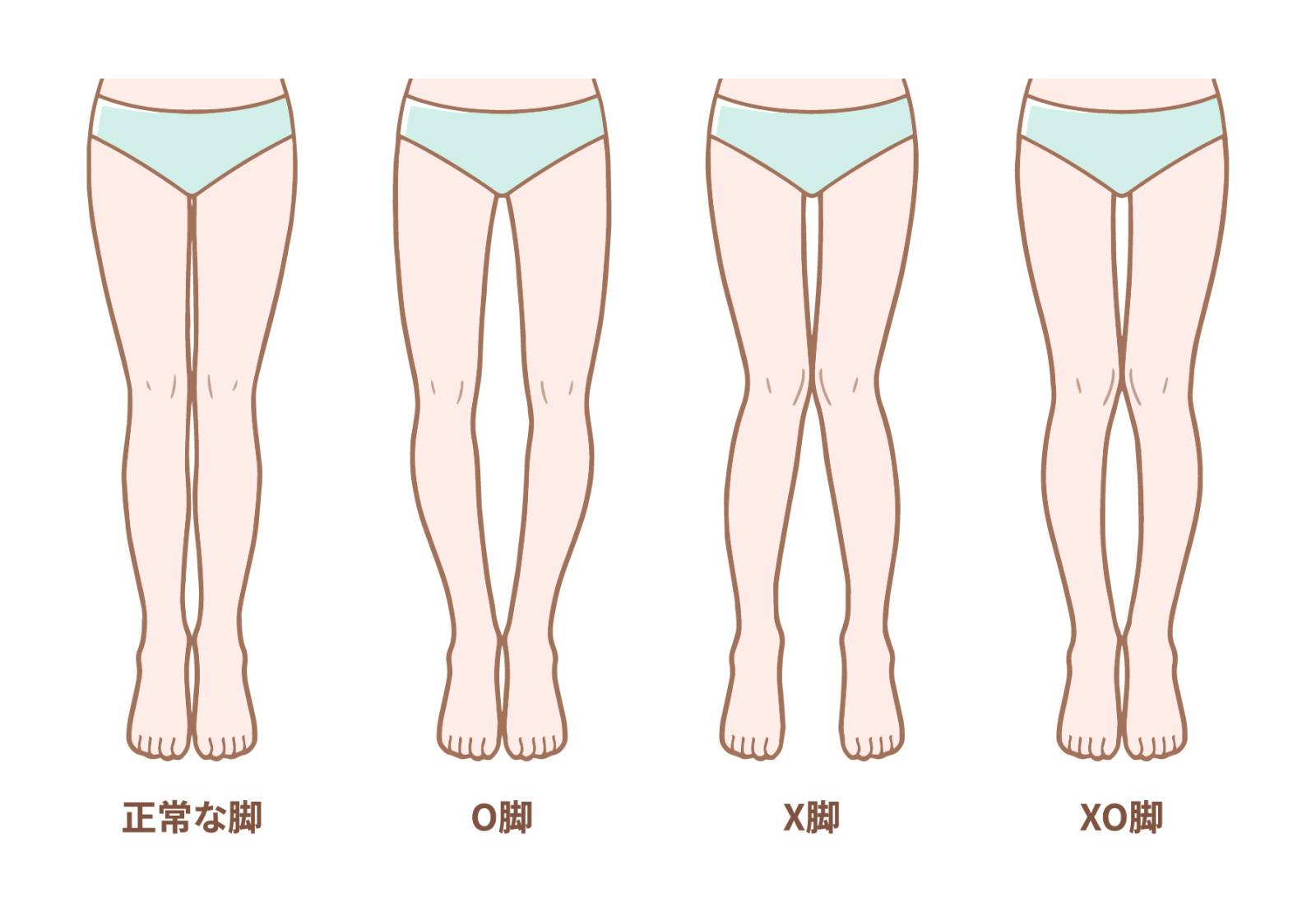 脚のライン