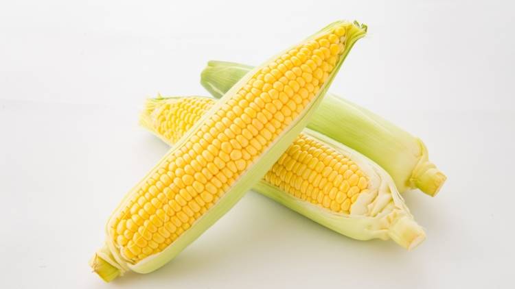 「とうもろこし」は野菜と主食の中間。米との栄養価の違いを管理栄養士が解説