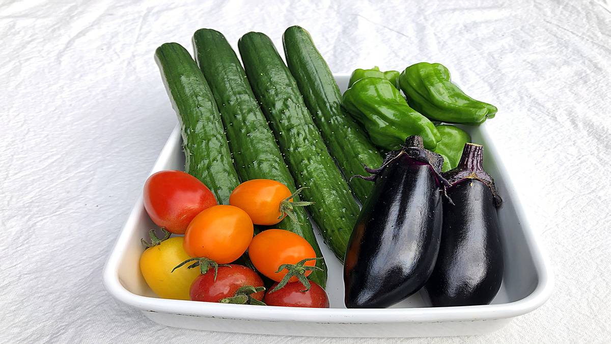 夏のむくみが気になる日に。カリウムを手軽に補える夏野菜4選｜管理栄養士が解説