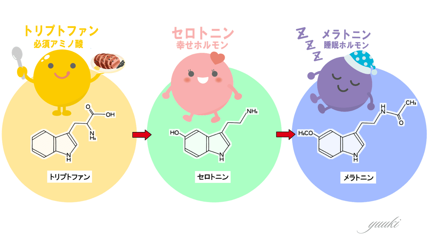 アミノ酸