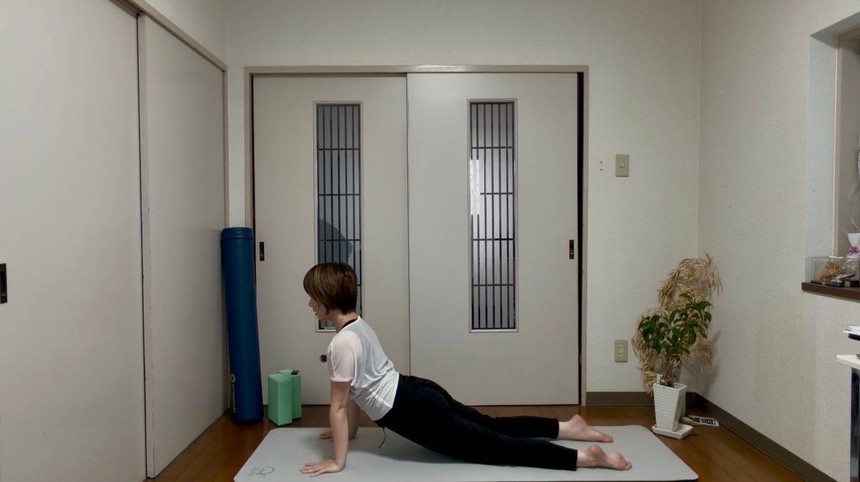 アップドッグ
