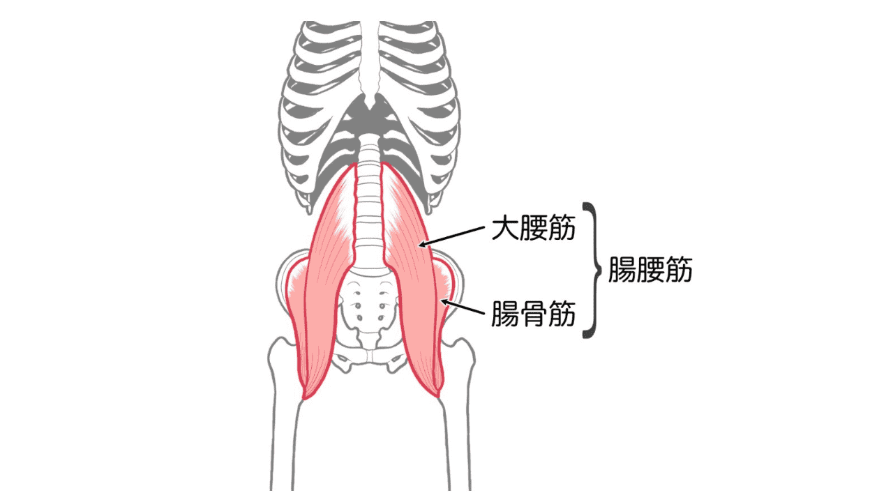 大腰筋