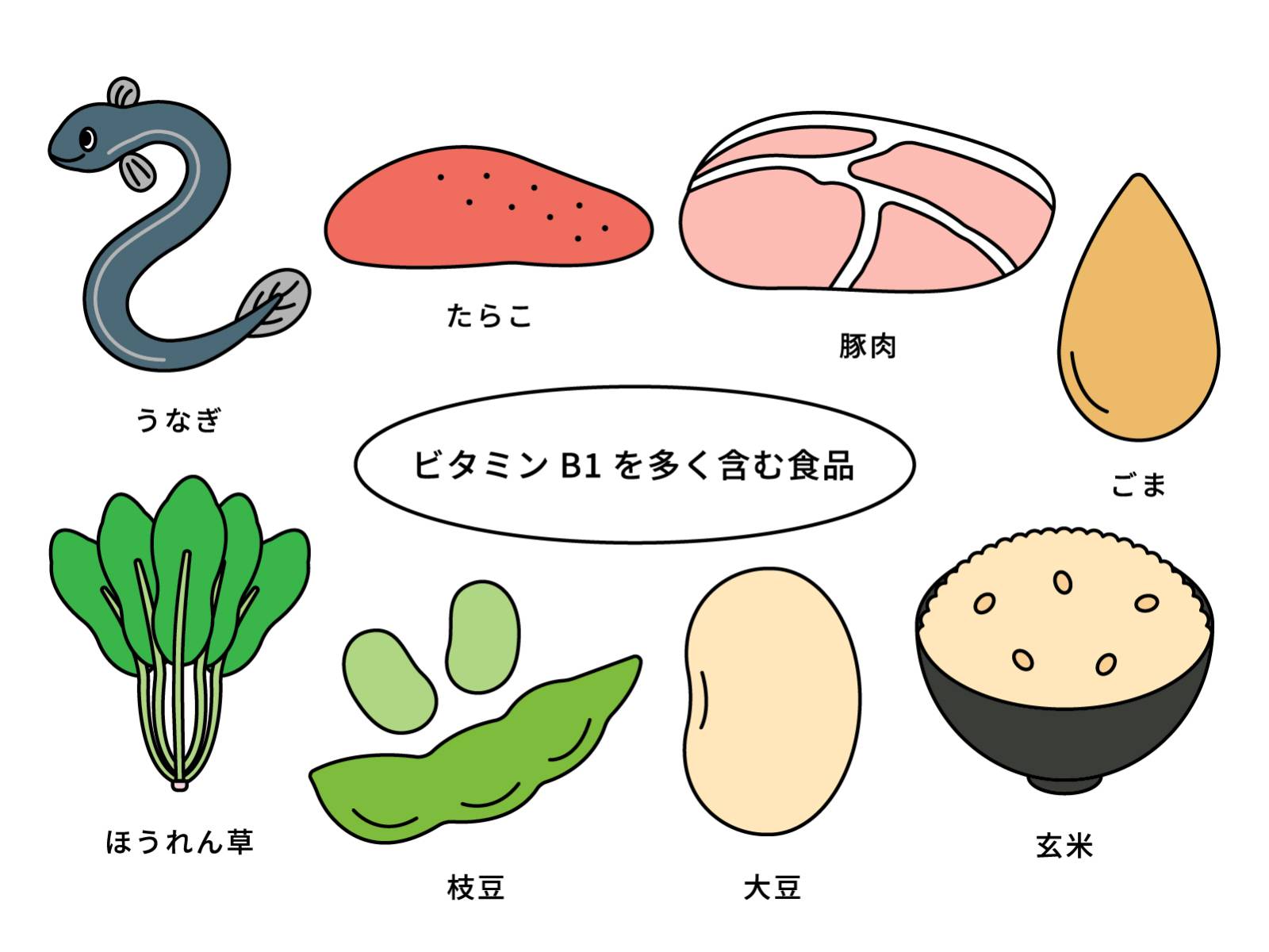 ビタミンB1イラスト