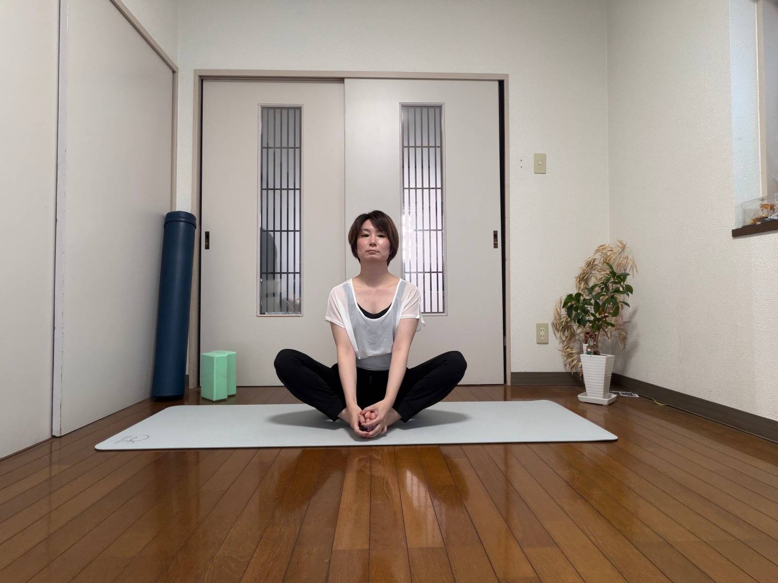 股関節の動き