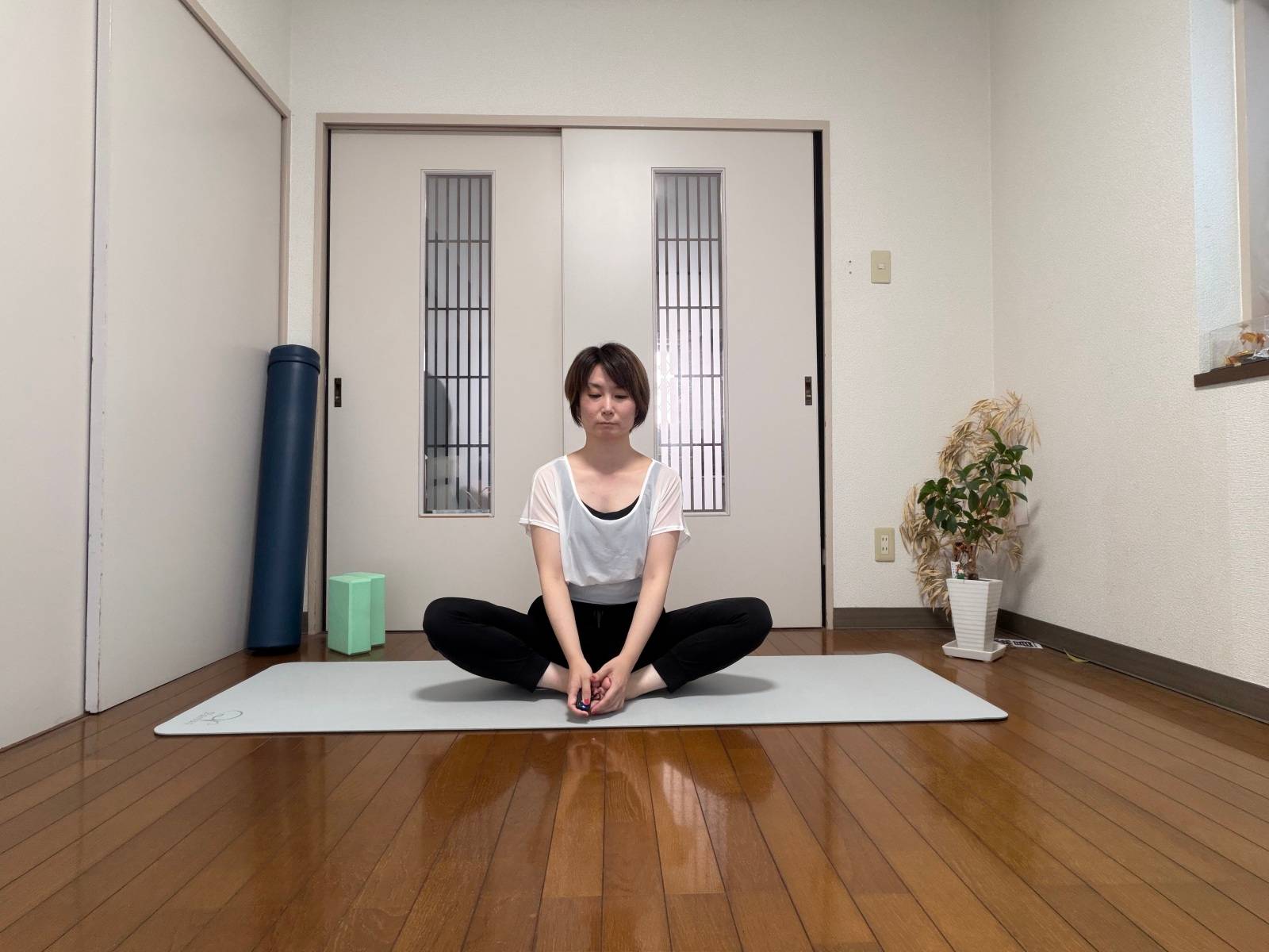股関節の動き