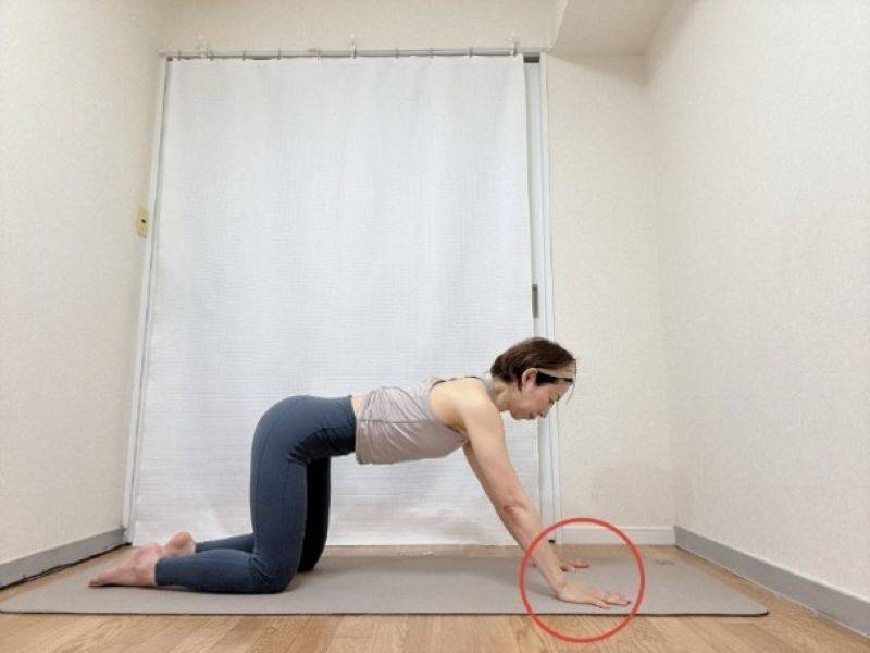 両手を肩より前の床に下した四つ這いの体勢
