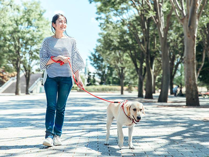 犬の散歩をする女性