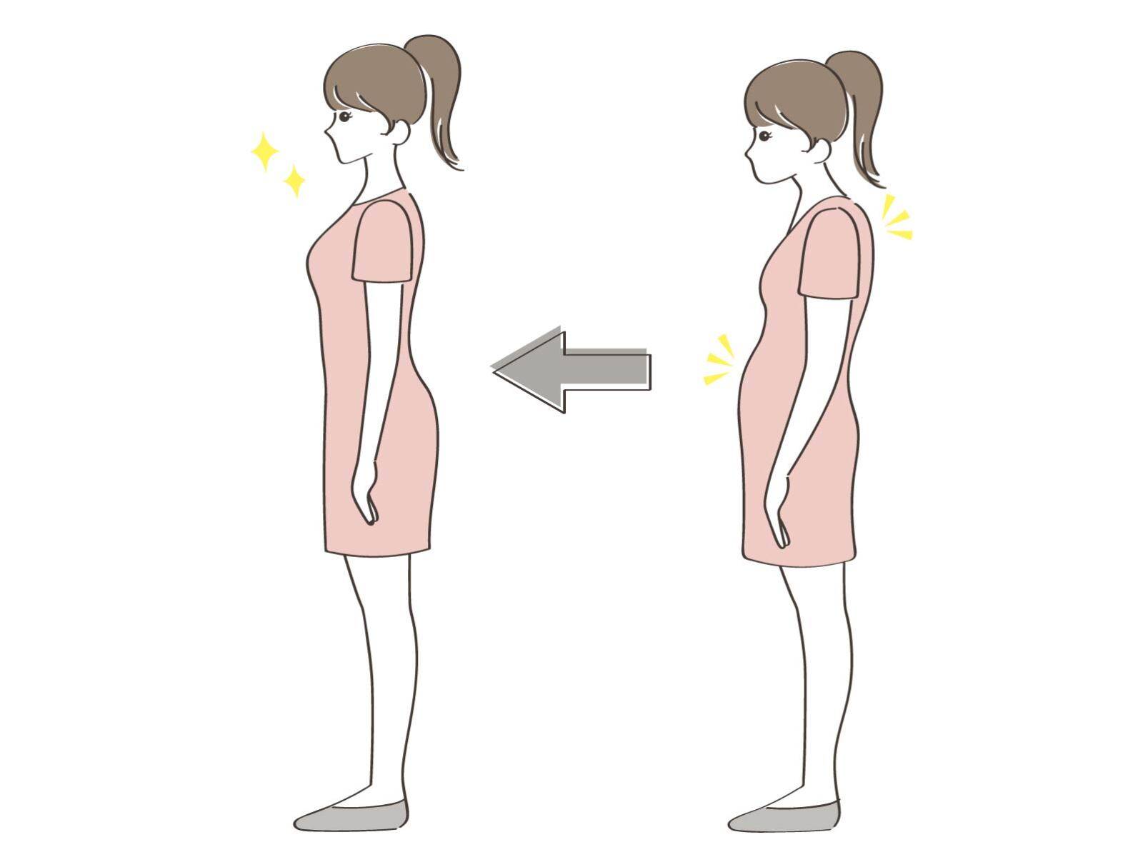 姿勢とお腹