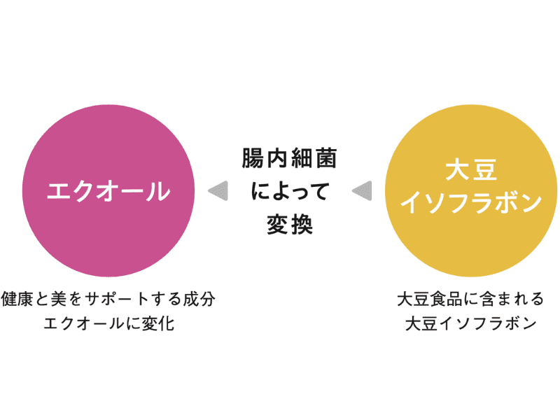 【原 沙知絵さんに聞く】いつでも心地よくいたい女性に知ってほしい“セルフケアの大切さ”