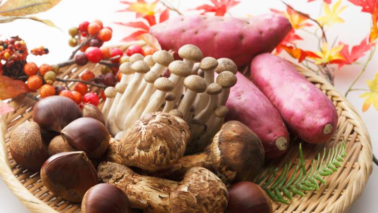 「9月から始める腸活」腸内環境を整える秋の食材の組み合わせ5選|管理栄養士が解説