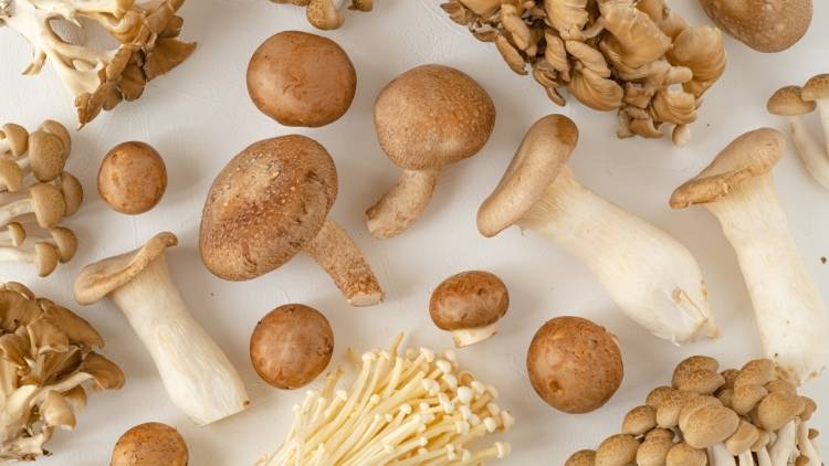 秋の「きのこ」に混ぜるだけ!季節の変わり目に取り入れたい食材3選|管理栄養士が解説
