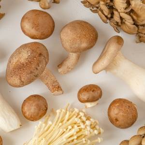 秋の「きのこ」に混ぜるだけ!季節の変わり目に取り入れたい食材3選|管理栄養士が解説