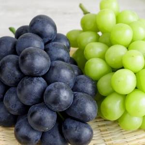 「ぶどうは太る」は本当?管理栄養士が教える、太りにくく楽しむコツ