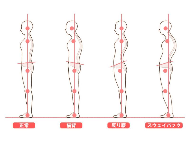 姿勢