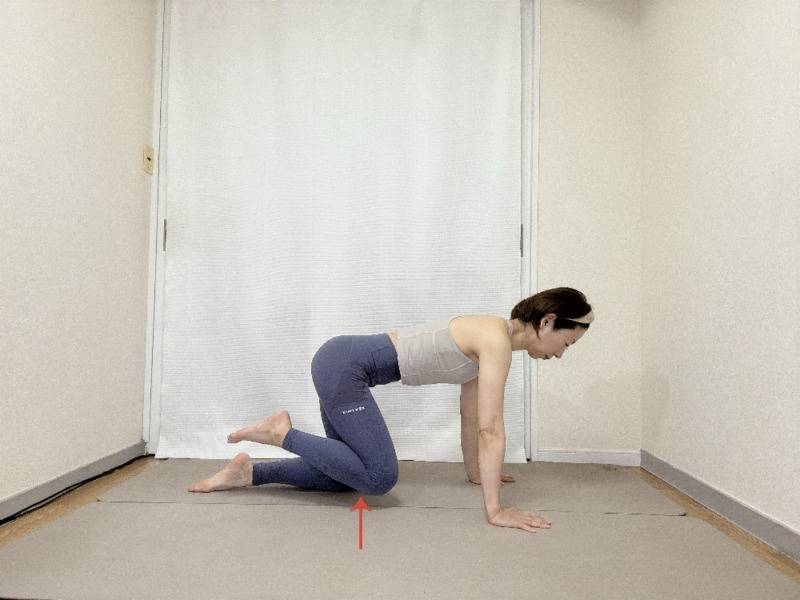 四つ這いで左膝を少し床から浮かせた体勢