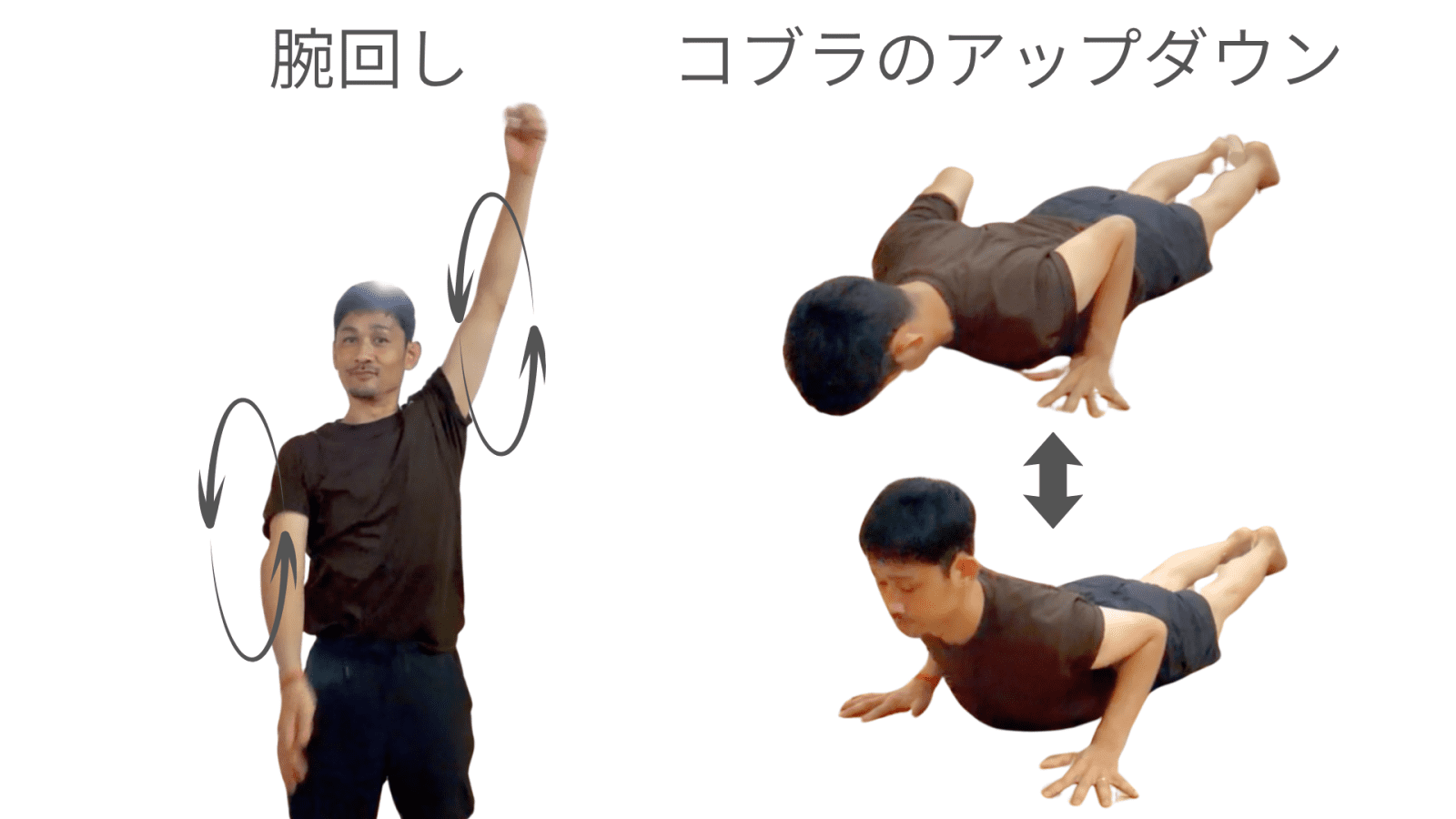 コブラ