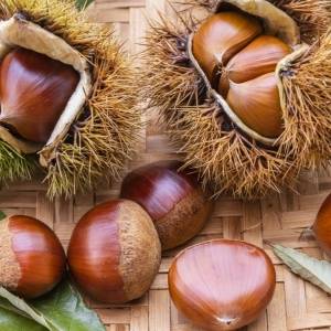 「栗は太る」は本当？実は食物繊維・ビタミンB1も摂れる秋の味覚、食べ方のコツ｜管理栄養士が解説