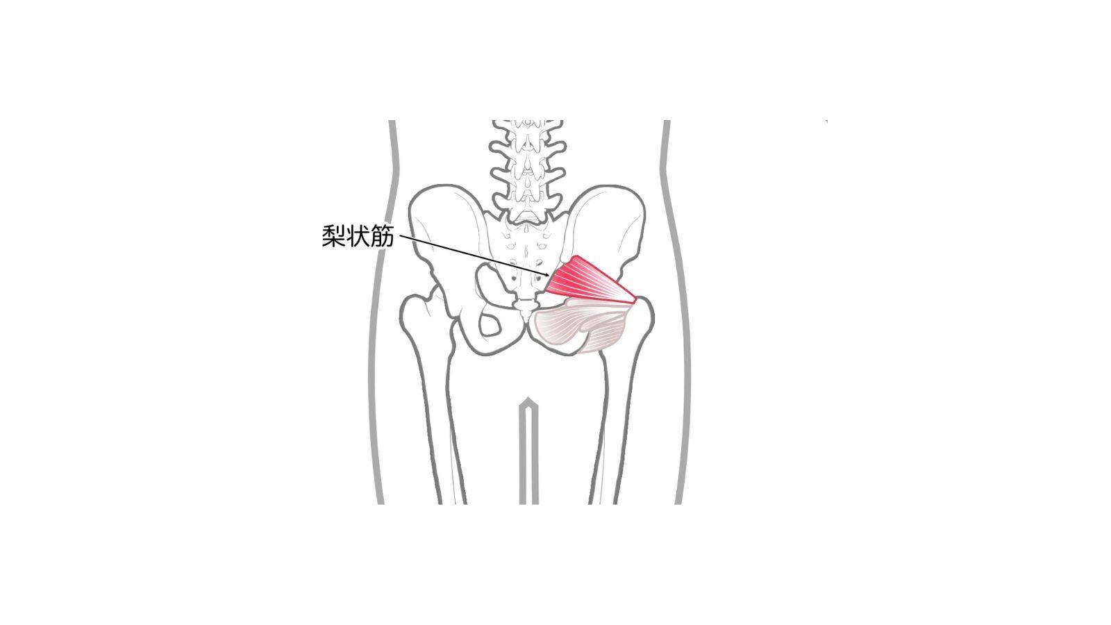 凛常勤