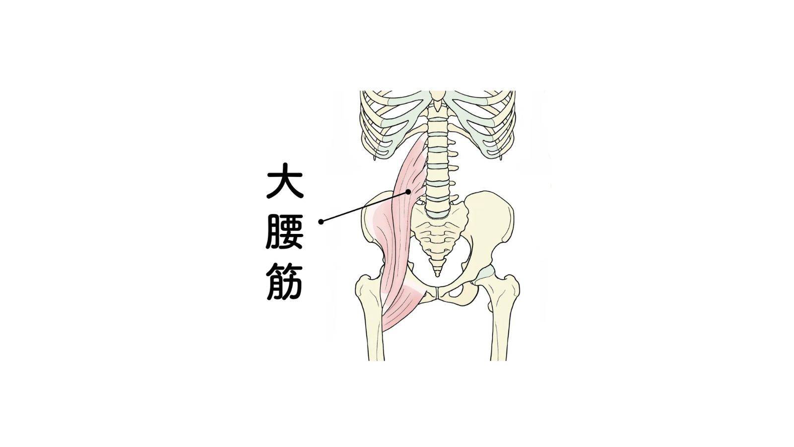 大腰筋
