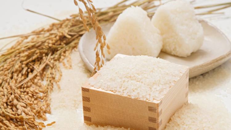 新米の「おにぎり」に混ぜるだけ!血糖値の急上昇を抑える食材4選|管理栄養士が解説