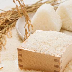 新米の「おにぎり」に混ぜるだけ!血糖値の急上昇を抑える食材4選|管理栄養士が解説