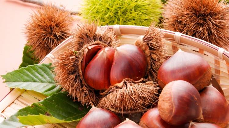 秋の「栗」に混ぜるだけ！腸の健康をサポートする食物繊維がとれる食材3選｜管理栄養士が解説