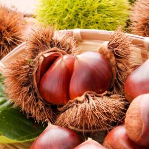秋の「栗」に混ぜるだけ!腸の健康をサポートする食物繊維がとれる食材3選|管理栄養士が解説