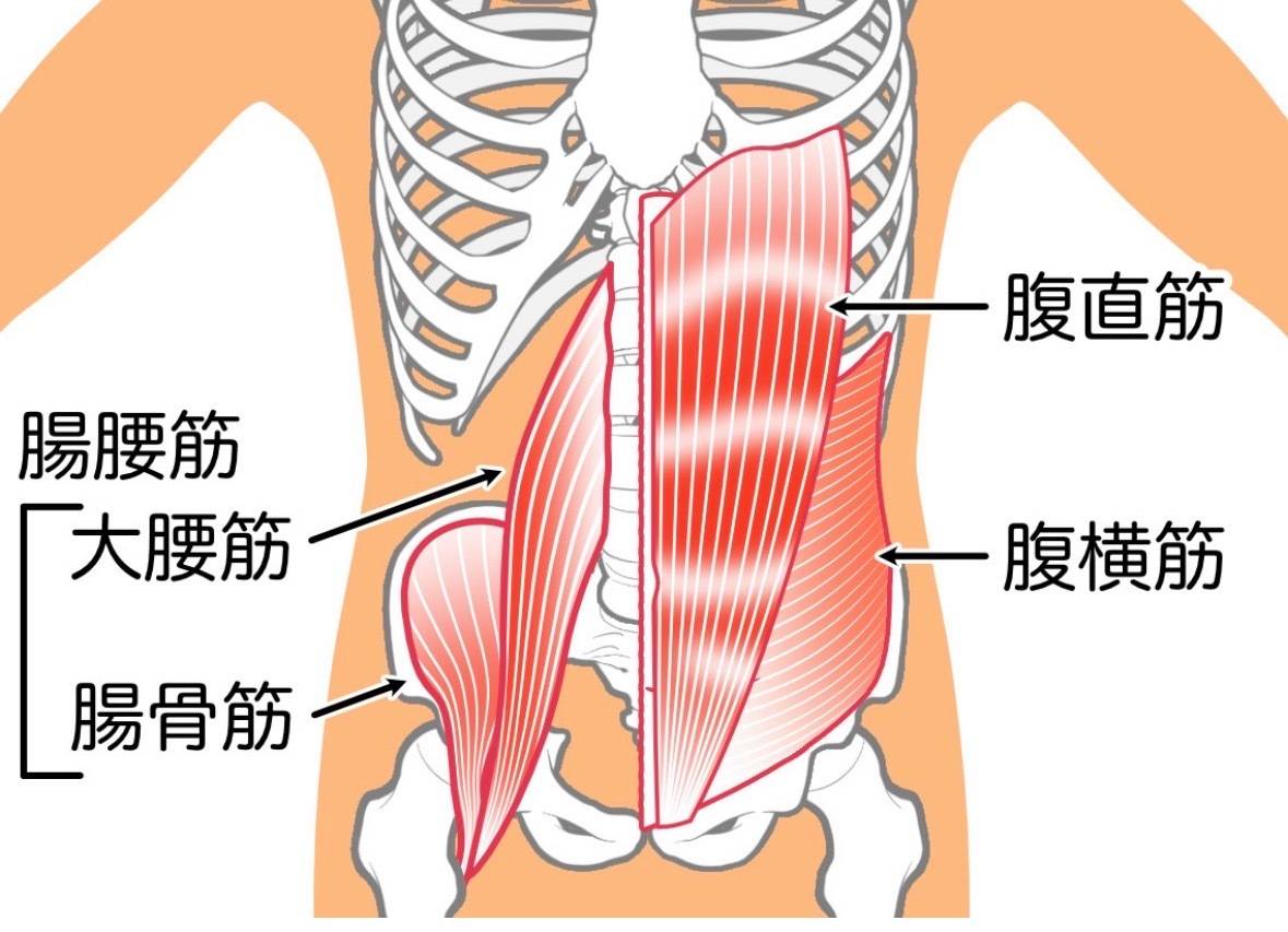 腹筋