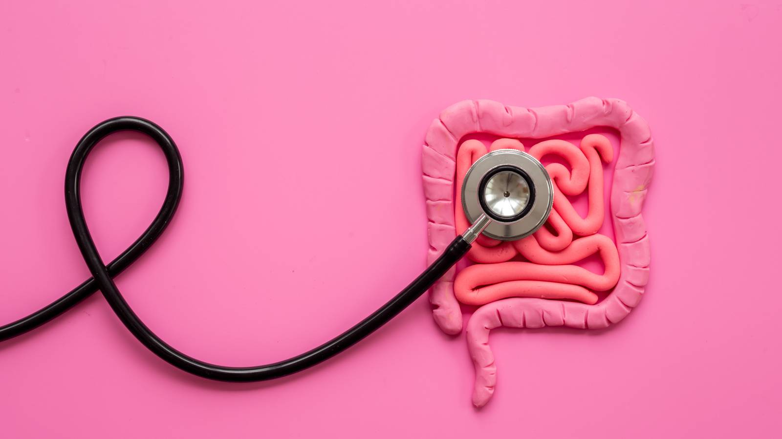 大腸がんに便秘…腸のトラブルはなぜ起こる？腸内細菌研究の第一人者が生活習慣との関係を解説