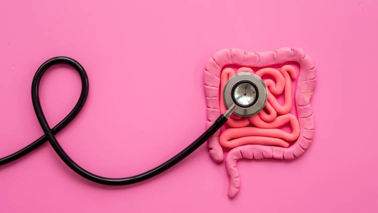大腸がんに便秘…腸のトラブルはなぜ起こる？腸内細菌研究の第一人者が生活習慣との関係を解説