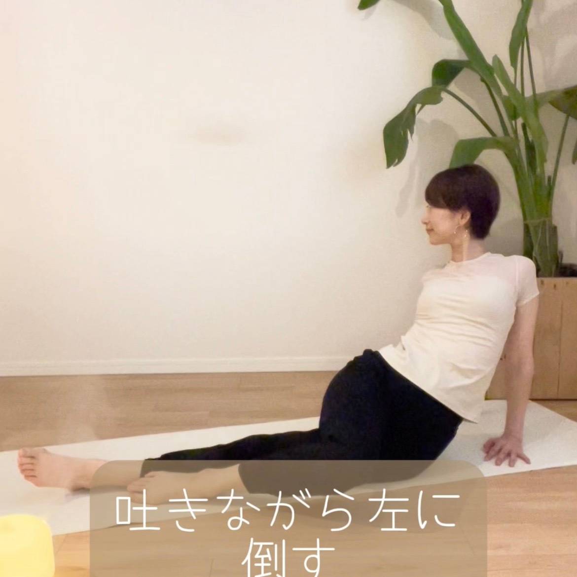 腸活
