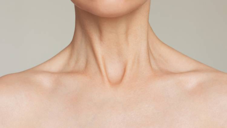 【美人は首筋がきれい】憧れはほっそりとした首と引き上がったフェイスライン|40代以降で叶える方法