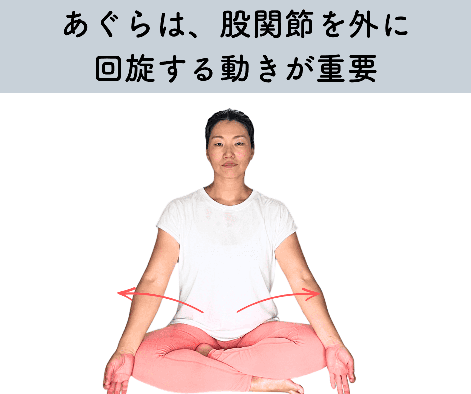 あぐらの股関節の動き