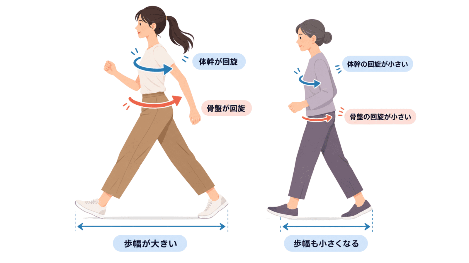 歩行比較