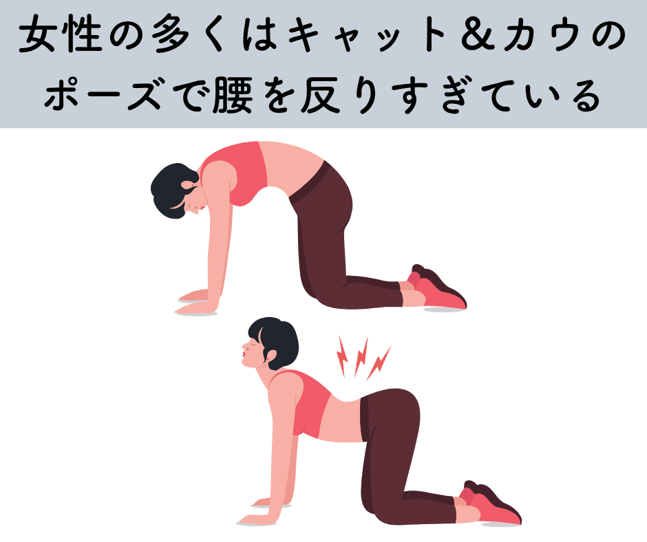 キャットアンドカウ