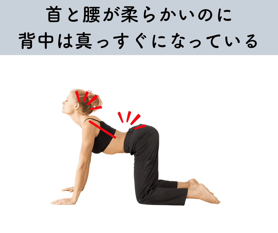 キャットアンドカウのミスアライメント