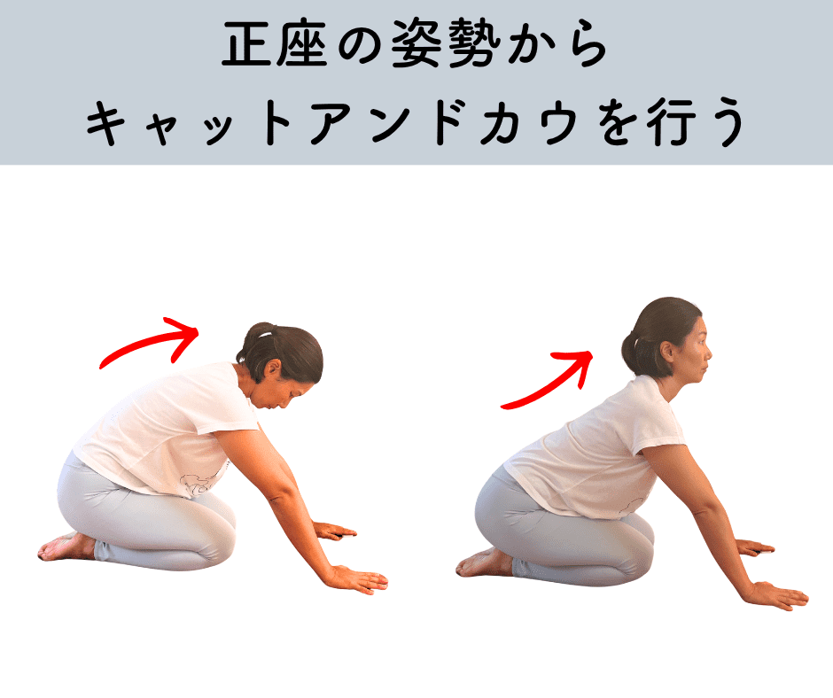 腰痛の人にお勧めの背中エクササイズ