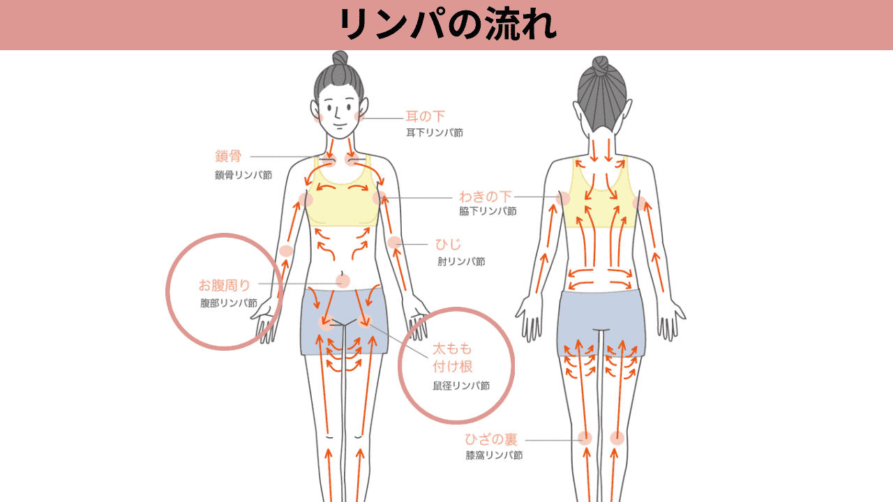 リンパの流れ