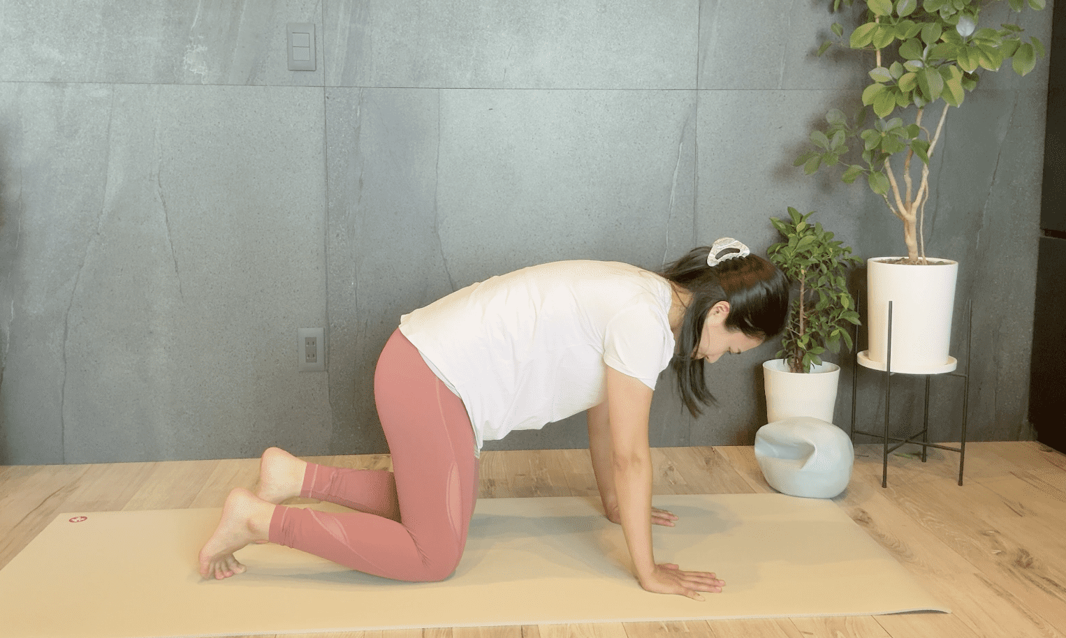 四つん這い、骨盤を後傾する