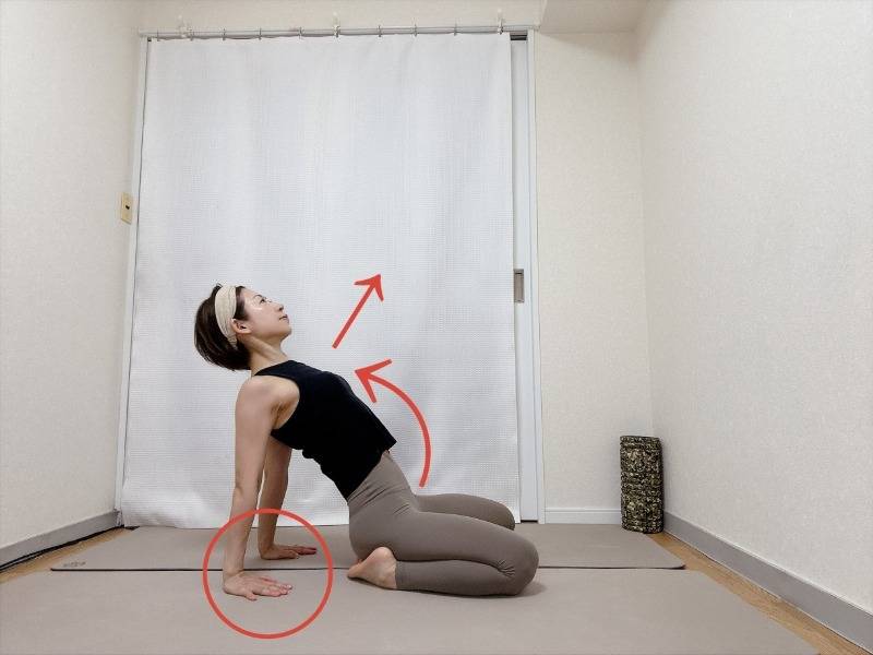 正座から両手を後ろの床に着いておしりを上げずに体の前側を広げるラクダのポーズ