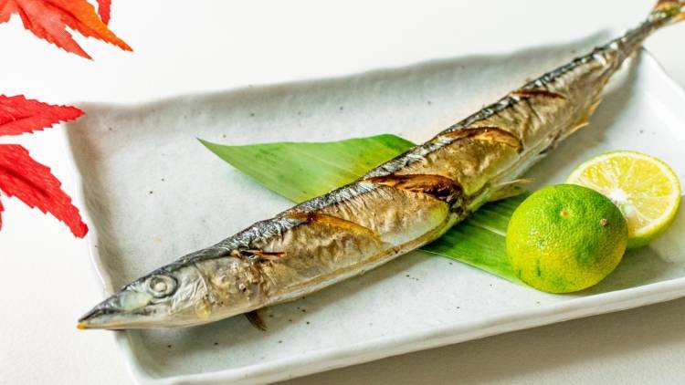 鉄の吸収率を高める!サンマの栄養を逃さない食べ方|管理栄養士が解説