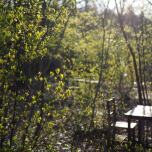 森のスープ屋の夜 1日1組お手当ての宿