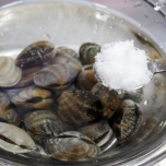 あさり　砂抜き