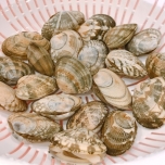 あさり　砂抜き