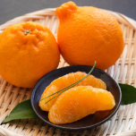 お皿に盛りつけたデコポン