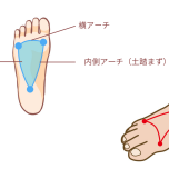 足裏